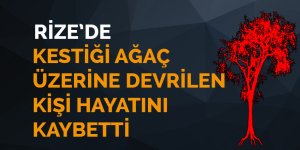 Kestiği ağaç üzerine devrildi
