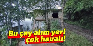 Bu çay alım yeri çok havalı!