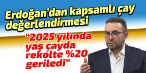 2025 yılında yaş çayda rekolte %20 düştü