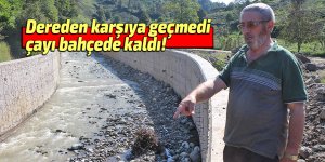 Dereden karşıya geçiremeyince çayı bahçede kaldı!