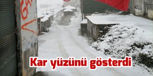 Karadeniz'in yüksek kesimleri kara teslim oldu