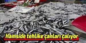 Hamside tehlike çanları çalıyor