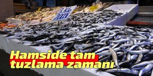 Hamside tuzlama zamanı