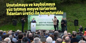 O meyveler yeni fidanlarda büyüyecek