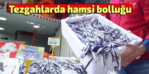Tezgahlarda hamsi bolluğu