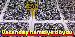 Vatandaş hamsiye doydu