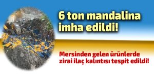 6 ton mandalina imha edildi!