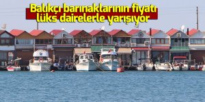 Balıkçı barınaklarının fiyatı lüks dairelerle yarışıyor