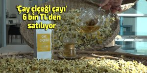 ‘Çay çiçeği çayı' 6 bin TL'den satılıyor