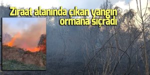 Ziraat alanında çıkan yangın ormana sıçradı