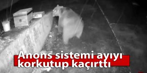 Anons sistemi ayıyı korkutup kaçırttı