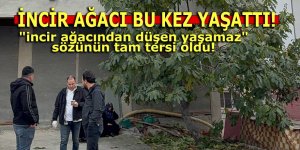 İNCİR AĞACI BU KEZ YAŞATTI!