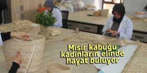 Mısır kabuğu kadınların elinde hayat buluyor