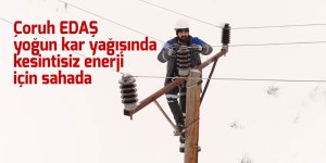 Çoruh EDAŞ, yoğun kar yağışında kesintisiz enerji için sahada