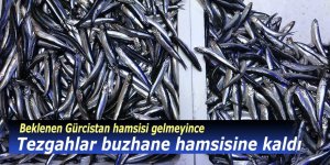Tezgahlar buzhane hamsisine kaldı