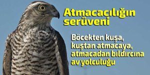 Atmacacılığın serüveni