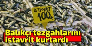 Balıkçı tezgahlarını istavrit kurtardı