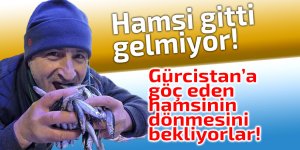 Gürcistan’a göç eden hamsinin dönmesini bekliyorlar