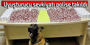 Uyuşturucu sevkiyatı polise takıldı