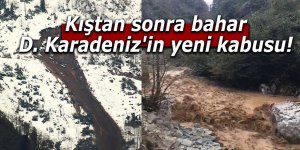 Kıştan sonra bahar D. Karadeniz'in yeni kabusu!