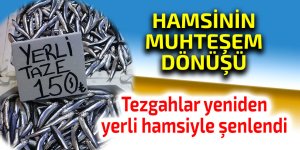 Hamsi bu defa şaşırttı: Tezgahlar yeniden şenlendi