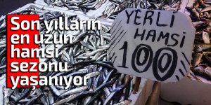 Son yılların en uzun hamsi sezonu yaşanıyor