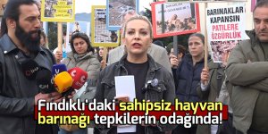 Fındıklı'daki hayvan barınağı tepkilerin odağında!