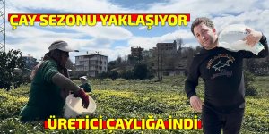 Çay üreticileri yeni sezona hazırlanıyor