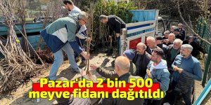Pazar'da 2 bin 500 meyve fidanı dağıtıldı