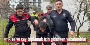Rize'ye çay toplamak için giderken yakalandılar!