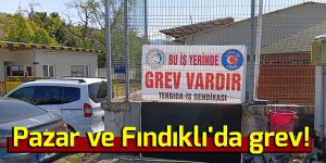 Pazar ve Fındıklı'da grev!
