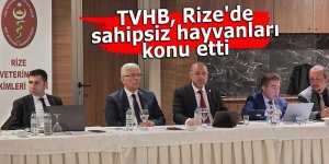TVHB, Rize'de sahipsiz hayvanları konu etti