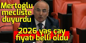 2026 yaş çay fiyatı belli oldu