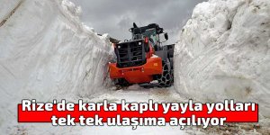 Rize'de karla kaplı yayla yolları tek tek ulaşıma açılıyor