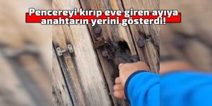 Pencereyi kırıp eve giren ayıya anahtarın yerini gösterdi!