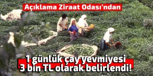 1 günlük çay yevmiyesi 3 bin TL olarak belirlendi!