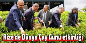 Rize'de Dünya Çay Günü etkinliği