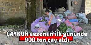 ÇAYKUR sezonun ilk gününde 900 ton çay aldı