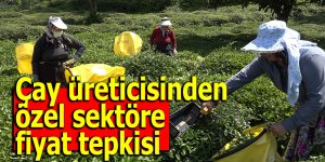Çay üreticisinden özel sektöre fiyat tepkisi