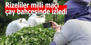 Rizeliler milli maçı çay bahçesinden izledi