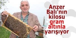Anzer Balı'nın kilosu, gram altınla yarışıyor