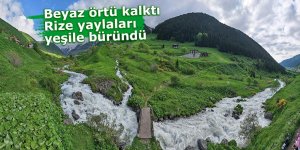 Beyaz örtü kalktı, Rize yaylaları yeşile büründü