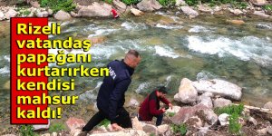 Rizeli vatandaş papağanı kurtarırken kendisi mahsur kaldı!