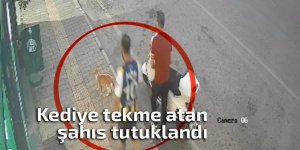 Kediye tekme atan şahıs tutuklandı