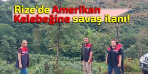 Rize'de Amerikan Kelebeğine savaş ilanı!