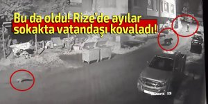 Bu da oldu! Ayı sokakta vatandaşı kovaladı!