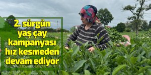 2. sürgün yaş çay kampanyası hız kesmeden devam ediyor