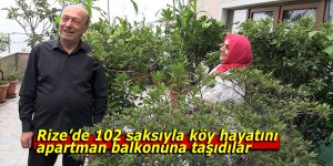 102 saksıyla köy hayatını apartman balkonuna taşıdılar