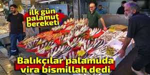 Balıkçılar "Vira Bismillah" dedi, tezgahlar palamutla doldu