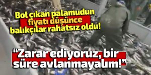 Bol çıkan palamudun fiyatı düşünce balıkçılar rahatsız oldu!